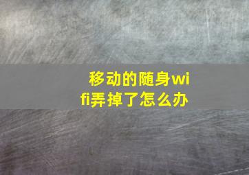 移动的随身wifi弄掉了怎么办