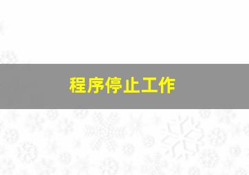 程序停止工作