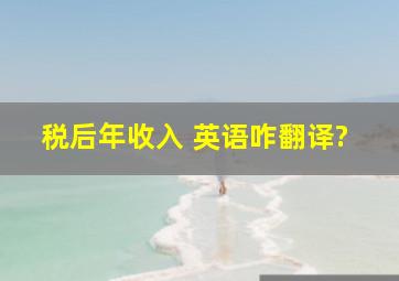 税后年收入 英语咋翻译?