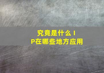 究竟是什么 IP在哪些地方应用