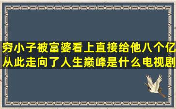 穷小子被富婆看上,直接给他八个亿,从此走向了人生巅峰,是什么电视剧...