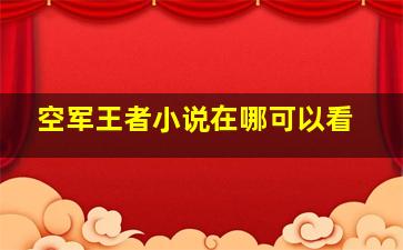 空军王者小说在哪可以看