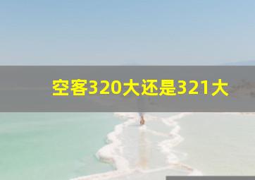 空客320大还是321大