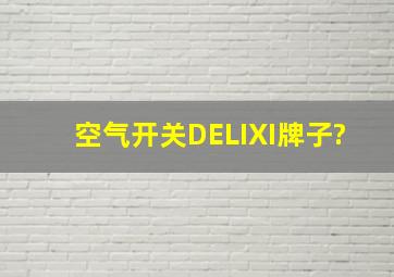 空气开关DELIXI(牌子?)