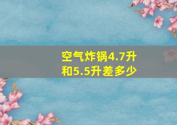 空气炸锅4.7升和5.5升差多少