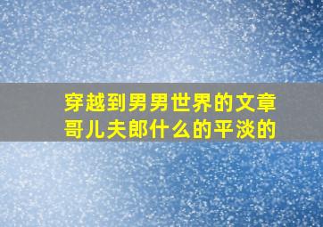 穿越到男男世界的文章,哥儿,夫郎什么的平淡的