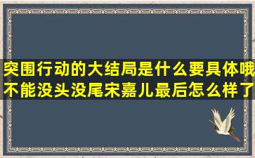 突围行动的大结局是什么,要具体哦,不能没头没尾,宋嘉儿最后怎么样了?