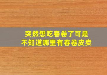 突然想吃春卷了,可是不知道哪里有春卷皮卖