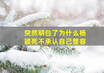 突然明白了为什么杨颖死不承认自己整容