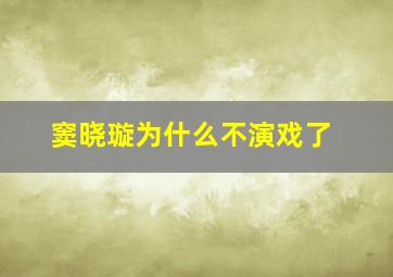 窦晓璇为什么不演戏了