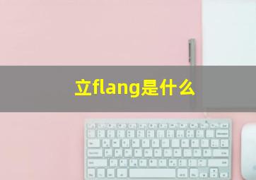 立flang是什么