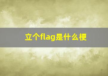 立个flag是什么梗