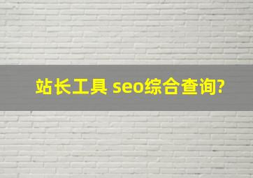 站长工具 seo综合查询?