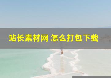 站长素材网 怎么打包下载