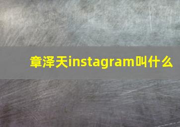 章泽天instagram叫什么