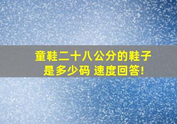 童鞋二十八公分的鞋子是多少码 速度回答!