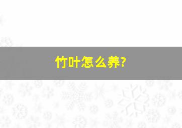 竹叶怎么养?