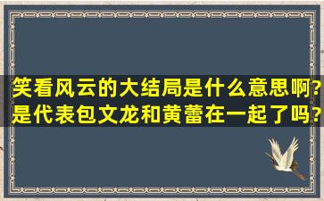 笑看风云的大结局是什么意思啊?是代表包文龙和黄蕾在一起了吗?