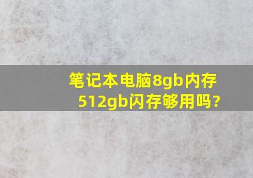 笔记本电脑8gb内存512gb闪存够用吗?