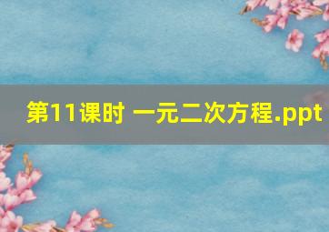 第11课时 一元二次方程.ppt