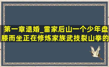 第一章退婚_雷家后山,一个少年盘膝而坐,正在修炼家族武技裂山拳的...