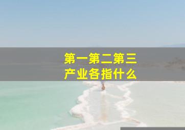 第一第二第三产业各指什么(