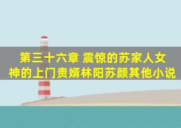 第三十六章 震惊的苏家人女神的上门贵婿林阳苏颜其他小说