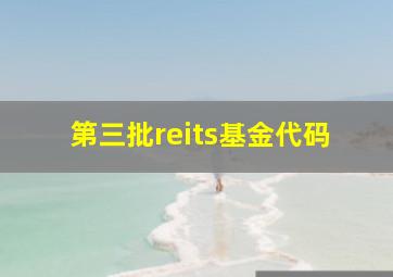 第三批reits基金代码