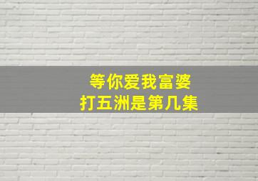 等你爱我富婆打五洲是第几集