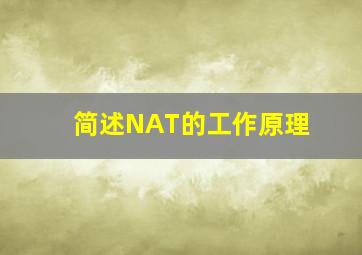 简述NAT的工作原理