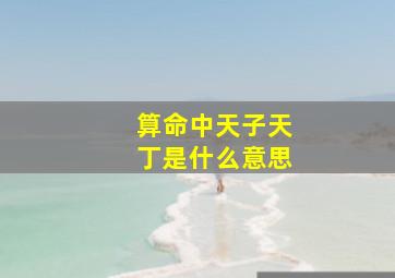 算命中天子天丁是什么意思