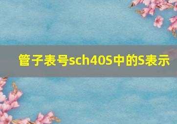 管子表号sch40S中的S表示( )。