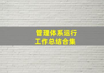 管理体系运行工作总结合集 