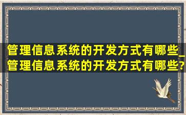 管理信息系统的开发方式有哪些_管理信息系统的开发方式有哪些?如何...