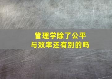 管理学除了公平与效率还有别的吗