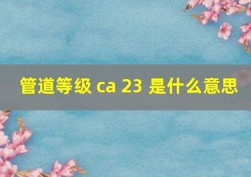 管道等级 ca 23 是什么意思