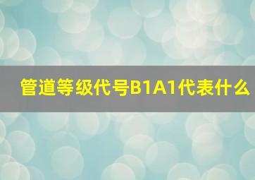 管道等级代号B1A1代表什么