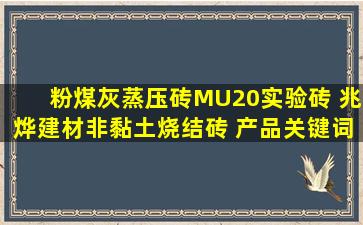 粉煤灰蒸压砖MU20实验砖 兆烨建材非黏土烧结砖 产品关键词:mu20粉...