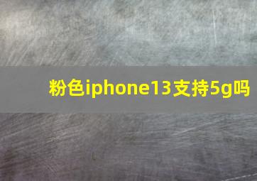 粉色iphone13支持5g吗(