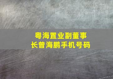 粤海置业副董事长曾海鹏手机号码