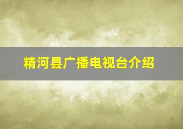 精河县广播电视台介绍(