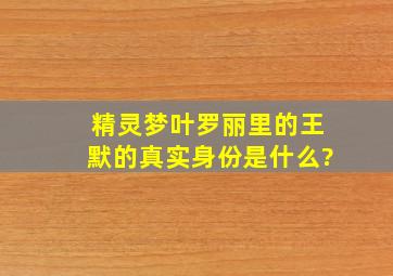 精灵梦叶罗丽里的王默的真实身份是什么?