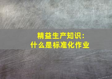 精益生产知识:什么是标准化作业