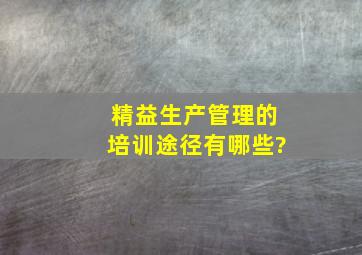 精益生产管理的培训途径有哪些?