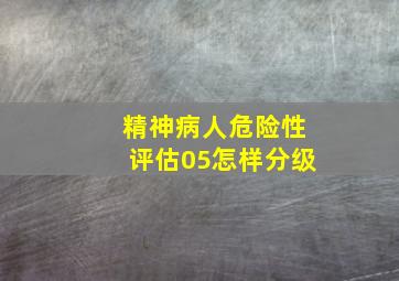 精神病人危险性评估05怎样分级