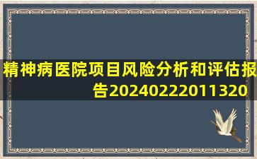 精神病医院项目风险分析和评估报告20240222011320.docx