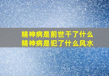 精神病是前世干了什么,精神病是犯了什么风水