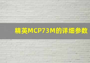 精英MCP73M的详细参数