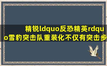 精锐“反恐精英”,雪豹突击队重装化,不仅有突击步枪更有火箭筒