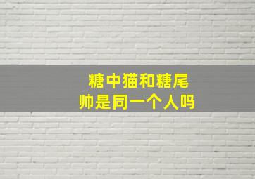 糖中猫和糖尾帅是同一个人吗(